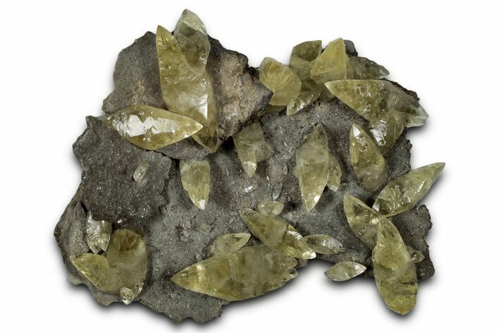 Double-Terminated Yellow Calcite Crystals on Matrix - Missouri #353652